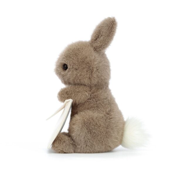 JELLYCAT LAPIN MESSAGE – Image 2