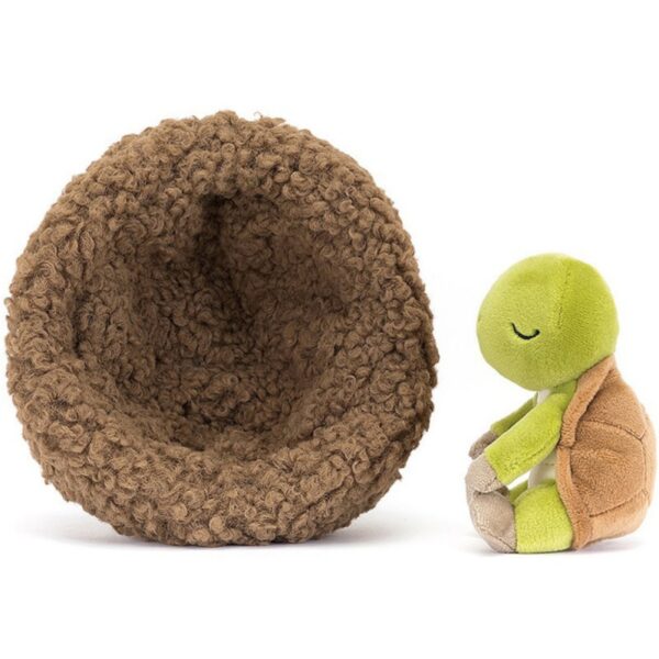 HIBERNATING TORTOISE – Image 2